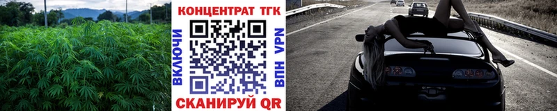 ТГК вейп купить Трубчевск