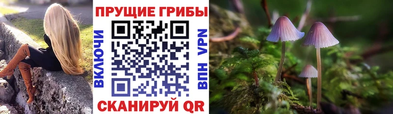 Псилоцибиновые грибы мицелий  где можно купить   Трубчевск 